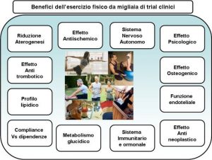 Esercizio fisico benefici